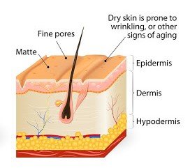 Dry Skin